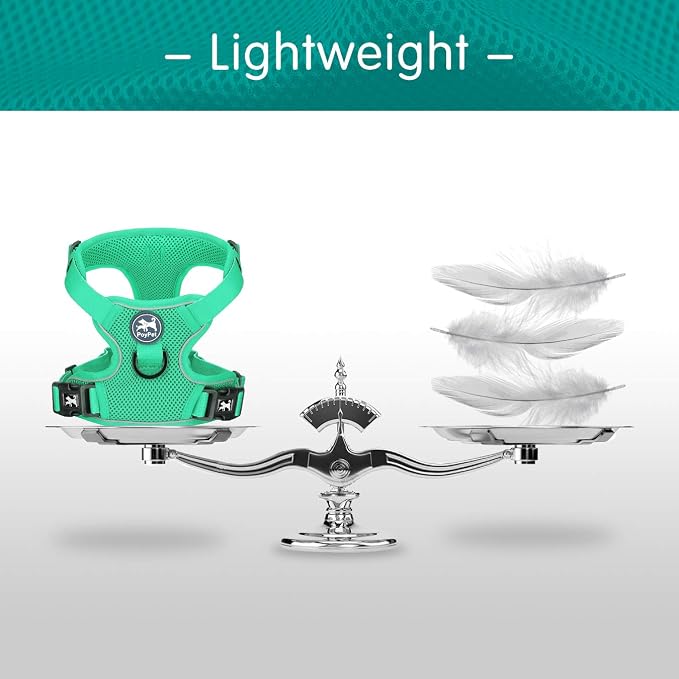 PoyPet Mesh Dog Harness, Reflective Breathable Puppy Vest for Small Dogs | Lightweight, Soft Air Mesh, Back D-ring, Adjustable, Comfortable, Double Padded, No Choke, for Daily Walking, XS, Mint Green - Image 4