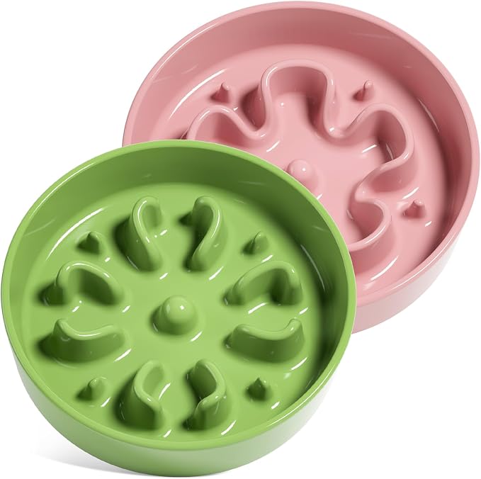 LE TAUCI Ceramic Slow Feeder Dog Bowls Small Breed, 0.6 Cups Dog Food Dish for Fast Eaters, Puzzle Bowl for Small Dogs and Cats,Pink+Green by LETAUCI