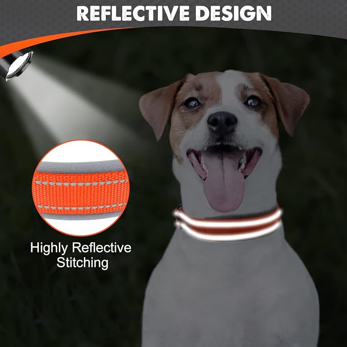 Joytale Reflective Dog Collar for Small Dogs with Wide Padding, Orange | Soft Cushion Reduce Neck Strain, Night Safety Walking, Metal Buckle and Adjustable Eyelets, Separated Dog ID Tag Ring - Image 4