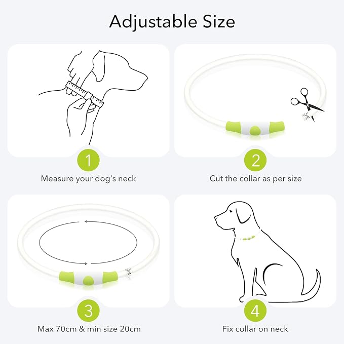 Colaseeme Light Up Dog Collar, USB Rechargeable Glow Necklace, Green+Blue | Waterproof IP67, Cut-to-Fit TPU, 360° Night Safety, Pet Visibility Light, Camping & Walking, Fits Small-Large Dogs - Image 6