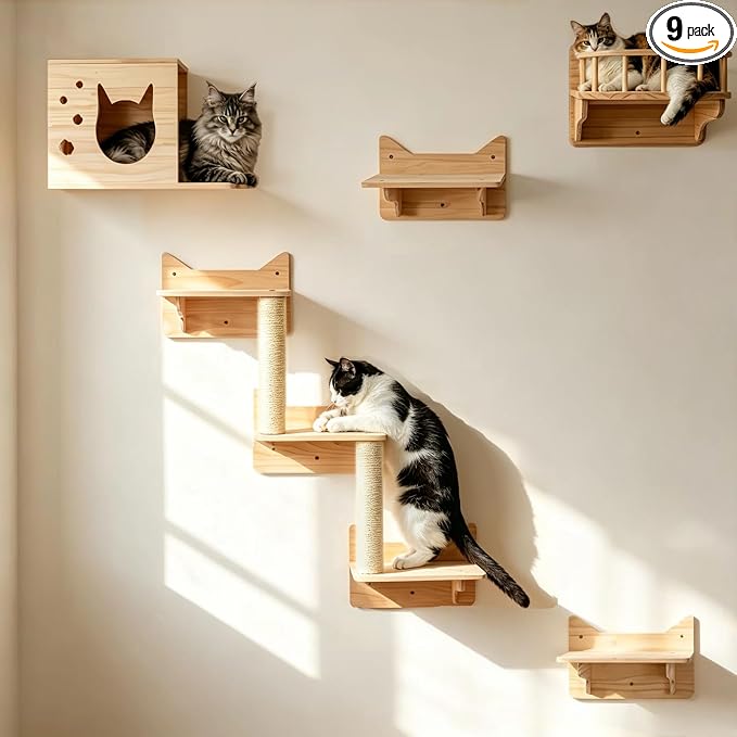 Cat Wall Shelves, 9-Piece Cat Wall Furniture for Large Cats | Solid pine wall mounted cat furniture with cat house, cat climbing shelves, ladder and sisal scratching posts for indoor cats by MIUZMORE