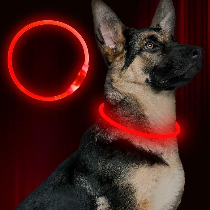 Led Dog Collar, BSEEN USB Rechargeable Flash Dog Necklace Light, Pet Safety Collar Makes Your Beloved Dogs Be Seen at Night for Small Medium Large Dogs(Red) by BSEEN