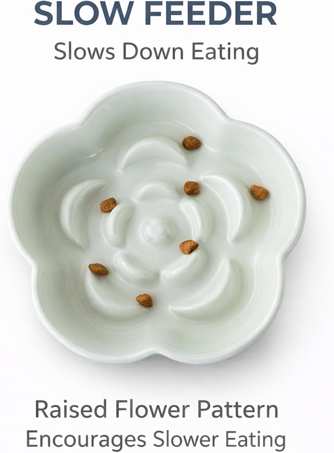 Ceramic Elevated Slow Feeder Cat Bowl, Raised and Gently Tilted Feeding Dish with Maze Design, Whisker-Friendly, Easy to Clean, for Indoor Cats and Small Dogs (Green/Ivory) - Image 4