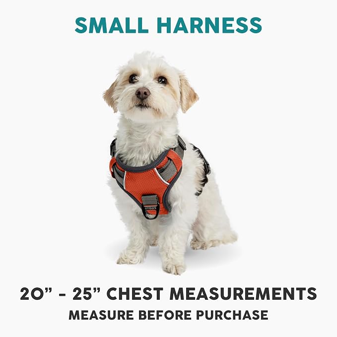 Embark No Pull Dog Harness, Reflective Adjustable Training Vest, No Choke | Adjustable straps fit all dog breeds with sturdy hooks; 360° reflective trim, soft padded Harness Design for All Dogs - Image 2