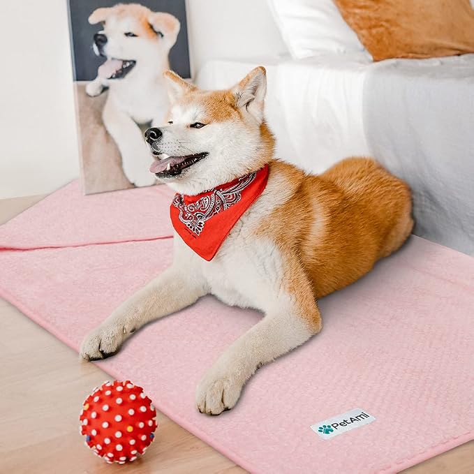 PetAmi Waterproof Dog Blanket, Leakproof Puppy Blanket, 40x60 Light Pink | For Medium Large Pets, Furniture Sofa Couch Cover Protector, Fleece Throw Indoor Cat Kitten, Reversible Washable Soft Plush - Image 5