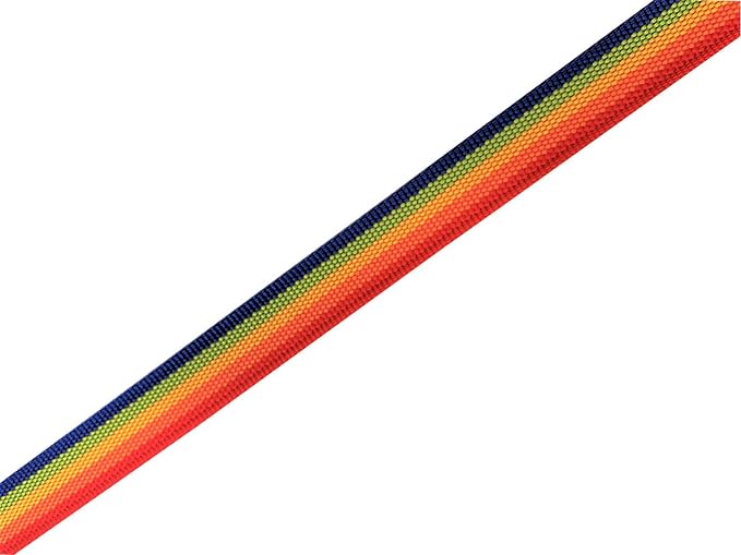 Nylon Dog Leash 4 Ft 5 Feet 6 Foot Long, Walking Training Dog Leashes for Medium Large Dogs, 1 Inch Wide (5/8" X 6 ft, Rainbow) - Image 5