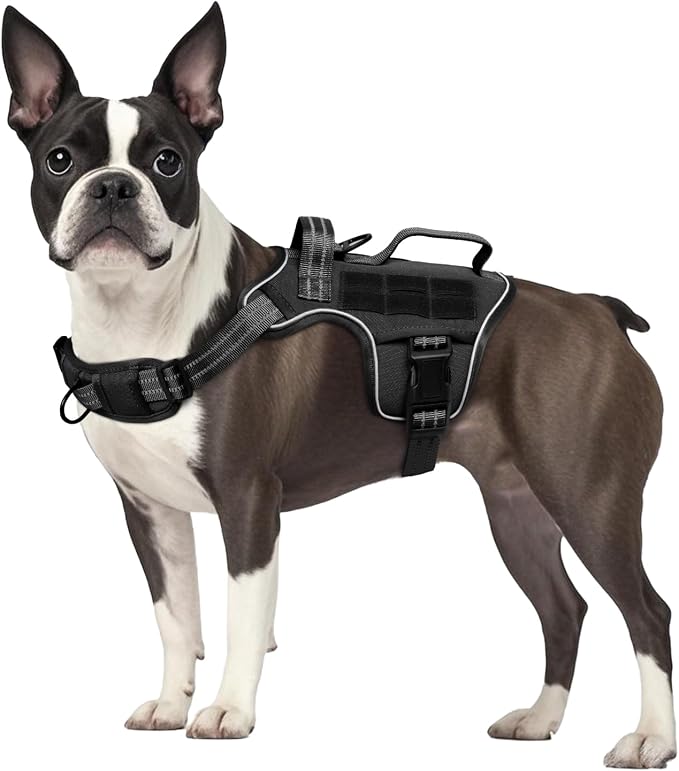 Dog Harness, Tactical No Pull for Small Sized Dog with Handle | Breathable Soft Padded, Adjustable, Reflective, Molle System, Heavy Duty, No Choke for Walking Training, Black Small - Image 8