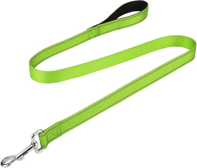 FunTags Reflective Nylon Dog Leash for Small & Medium Dogs, 4FT Training | Comfortable Padded Grip, Stay Safe at Night, 360° Anti-Tangle Swivel, for Dog Parks & Trails, Green by FUNSTARTSHERE