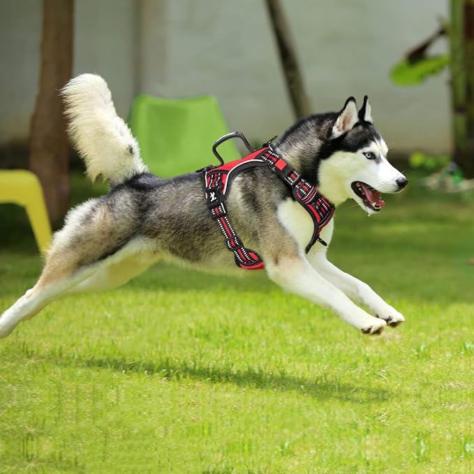 PoyPet No Pull Dog Harness with 3 Leash Clips and Vertical Handle | No Choke, Reflective, Adjustable, Soft Padded, Dog Vest for Medium Dogs, Walking Training, Red, M - Image 3