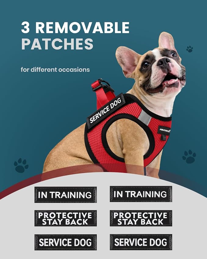 FAYOGOO Service Dog Vest for Small Breed - Lightweight Dog Harness with 6PCS Removable Patches - Puppy Harness and Leash Set for Walking,Training | Lightweight step-in vest with leash and removable identification patches; measure neck and chest before ... - Image 2