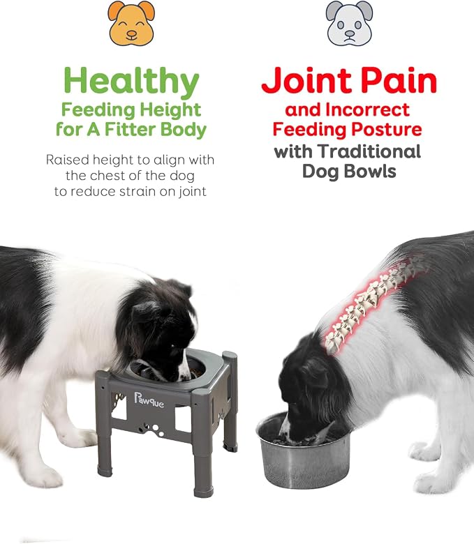Pawque 35oz Elevated Slow Feeder Dog Food Bowls with Adjustable Stand | 3 Heights (6.1", 7.7", 9.3"), Raised Dog Bowls for Medium and Small Breed Dogs Cats, Non Slip Rubber & Mess Proof - Image 5
