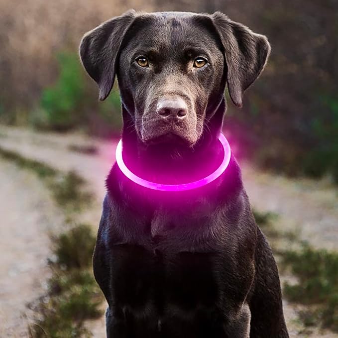 HIGO LED Dog Collar, USB Rechargeable Light Up Dog Collars Glow in the Dark, Waterproof LED Dog Necklace for Your Dogs Walking at Night (Pink) - Image 7