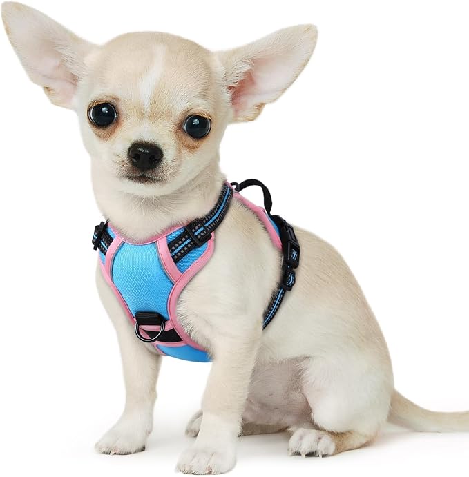Eagloo Dog Harness for Small Dogs, No Pull Pet Vest with 2 Leash Clips | No Choke with Handle, Adjustable Comfort Fit, Reflective Strips, Easy Walking Control, Pink & Sky Blue, X-Small by GoExplorewithEagloo