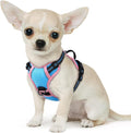 Eagloo Dog Harness for Small Dogs, No Pull Pet Vest with 2 Leash Clips | No Choke with Handle, Adjustable Comfort Fit, Reflective Strips, Easy Walking Control, Pink & Sky Blue, X-Small by GoExplorewithEagloo