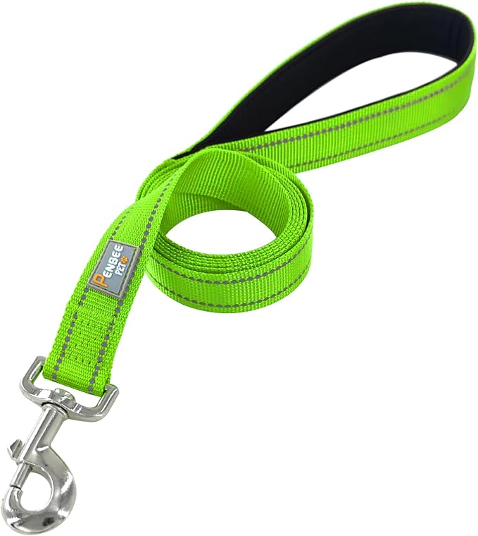 6 FT Basic Dog Leash for Large Dogs,Green | Padded Handle,Metal D-Ring,Heavy Duty Nylon Webbing, for Walking & Training - Image 2