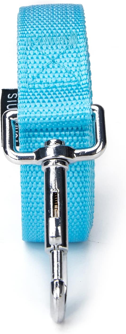 Strong Durable Nylon Dog Training Leash, 1 Inch Wide Traction Rope, 6 ft Long, for Small and Medium Dog (Mint Blue, 6 Feet) - Image 8