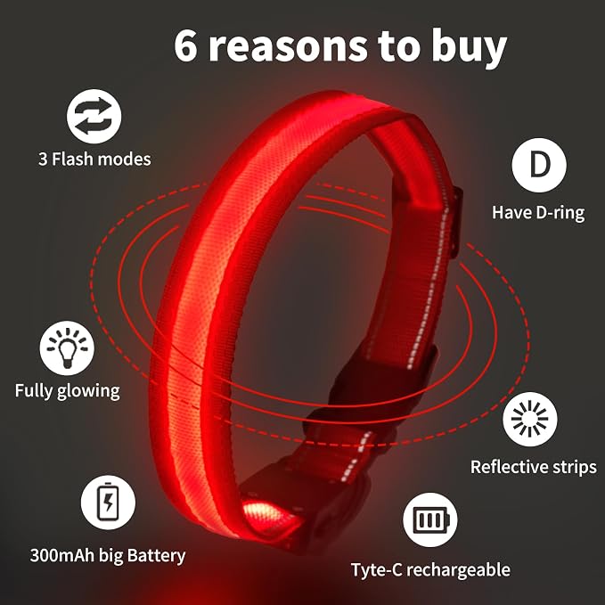 LED Dog Collar Light Up with 2025 Bright Beads & 300mAh Battery, Type-C Rechargeable Waterproof Dog Collar, 3 Flash Mode 15H for Night Safety, Adjustable Nylon Glow Collar for Small Medium Large Dogs - Image 3