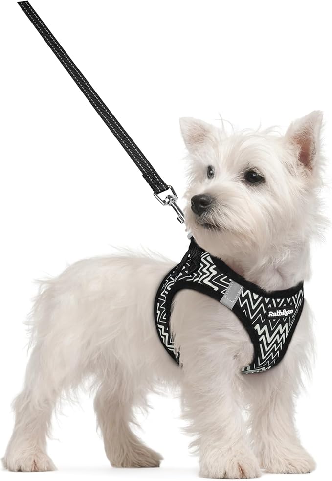 rabbitgoo Dog Harness Small Sized and Leash Set, Step-in Puppy Pet Vest | Light, Soft, Breathable Air Mesh, Easy on and Remove with Hook & Loop, Secure Reflective for Walking, Black Zigzag S by rabbitgoo