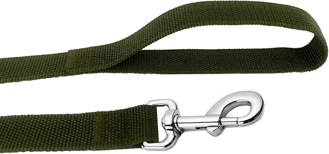 Strong Nylon Dog Leash, 4FT/ 5 FT/ 6FT Dog Leashes for Small Medium Dogs - Image 4