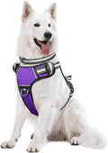 Dog Harness No Pull, Pet Harnesses with Dog Collar, Adjustable Reflective Oxford Outdoor Vest, Front/Back Leash Clips for Small, Medium, Large, Extra Large Dogs, Easy Control Handle for Walking by WINSEE