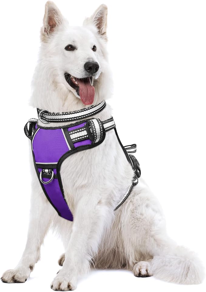Dog Harness No Pull, Pet Harnesses with Dog Collar, Adjustable Reflective Oxford Outdoor Vest, Front/Back Leash Clips for Small, Medium, Large, Extra Large Dogs, Easy Control Handle for Walking by WINSEE