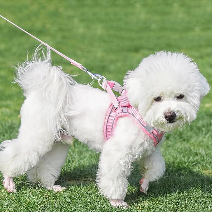 AIITLE Dog Harness and Leash Set, Step-in Puppy Pet Vest, Pure Pink XL | Breathable Mesh, Adjustable Fit, Reflective Design, Padded Leash Handle, for Small-Medium Dogs & Cats, Walking, Training - Image 4