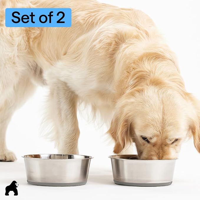 GORILLA GRIP Dog Bowls, Food Grade Stainless Steel, Set of 2, 2 Cup, Gray | 304 Stainless Steel Pet Feeding Bowls Hold 16 fl oz Each, Dishwasher Safe, Rust Resistant, BPA Free Rubber Base - Image 8