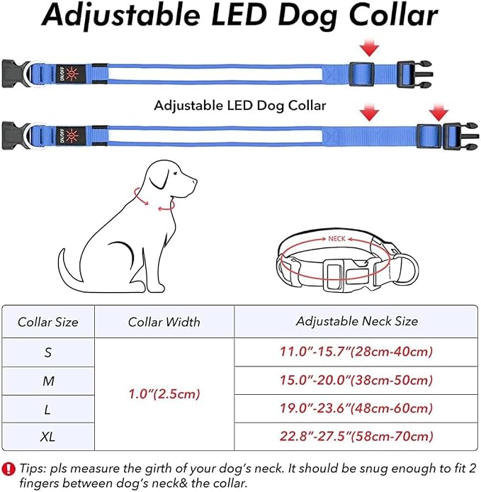 Illumifun LED Collar for Dogs, USB Rechargeable Light Up Dog Collars Glow in the Dark (Blue, Small) - Image 4