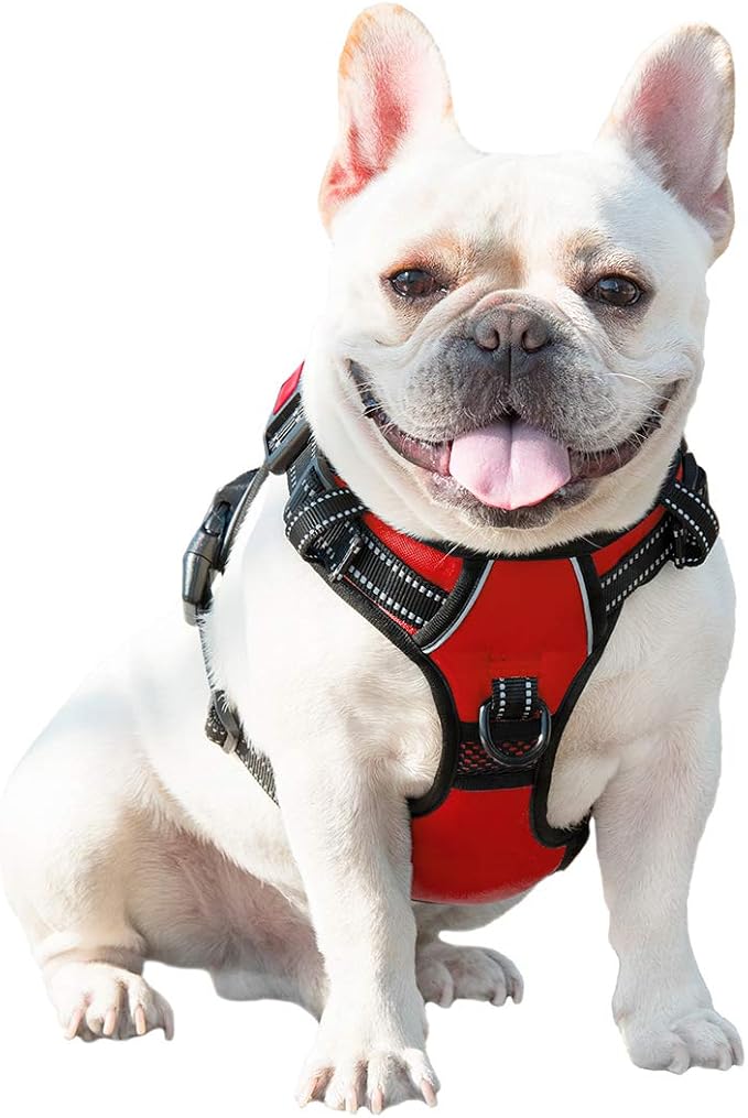 No Pull Dog Harnesses for Small Dogs Reflective Adjustable | Front Clip Vest with Handle 2 Metal Rings 3 Buckles [Easy to Put on & Take Off](XS, Red) - Image 6