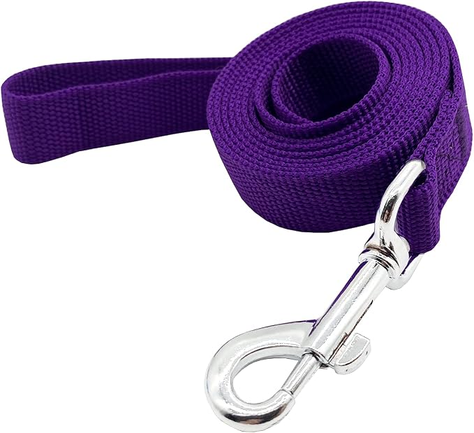 Nylon Dog Training Leash, Traction Rope, 4Ft /5 Foot /6 Feet Long, 5/8 inch 3/4 Inch 1 Inch Wide, for Small and Medium Dogs by TAIDA
