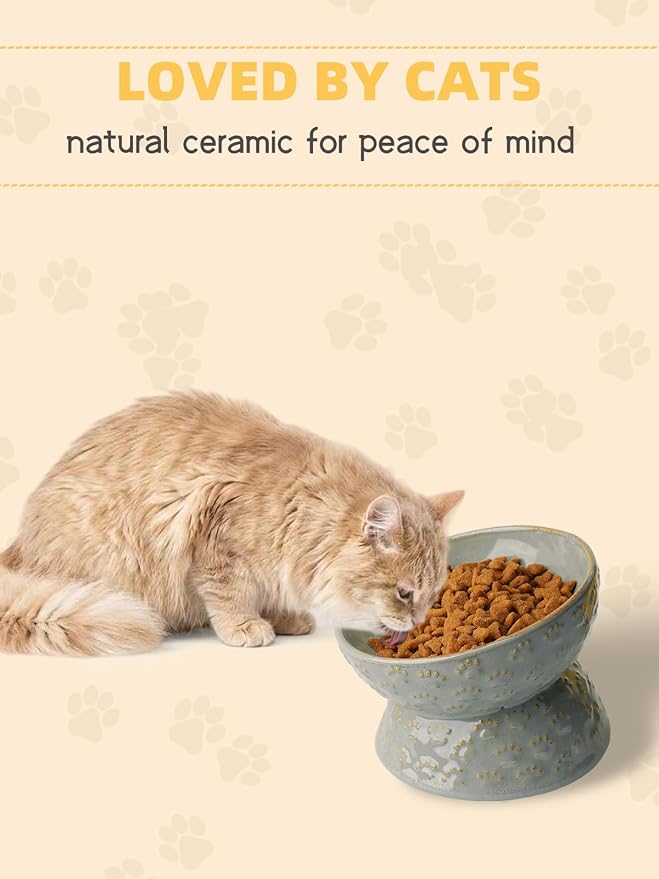 Ceramic Tilted Elevated Small Cat Bowl, for Fat Faced Cat, Kitten, Grey | 15° Tilted Elevated Design,5oz Small Meal Capacity,Chin-Friendly Ceramic,Paw Print - Image 6