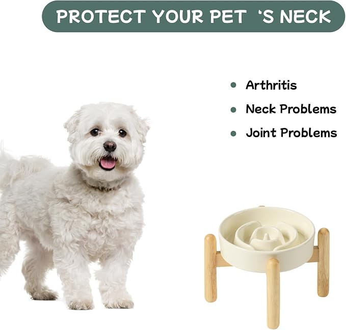 Havniva Elevated Slow Feeder Dog Bowls, Ceramic Dog Bowl Slow Feeder | 0.9 Cups Raised Slow Feeding Bowl for Small Breed, Puzzle Dog Food Bowl with Wooden Stand, Non-Slip, Anti-Choking - Image 7