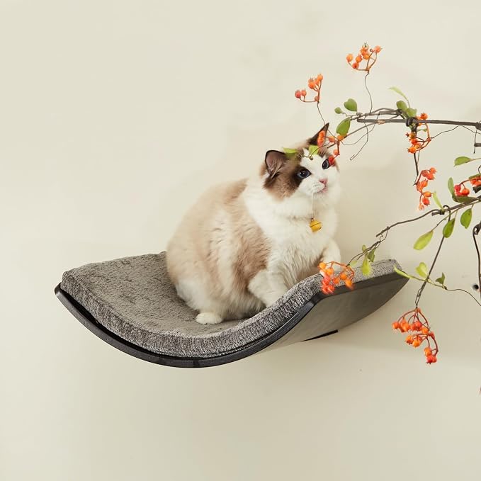 Cat Shelf with Comfortable Cushion - Curved Modern Cat Bed (Large Size) - Lotus Leaf Design Cats Wall Perch - Wall Mounted Cats Furniture for Sleeping, Playing, Climbing, and Lounging, Walnut - Image 4