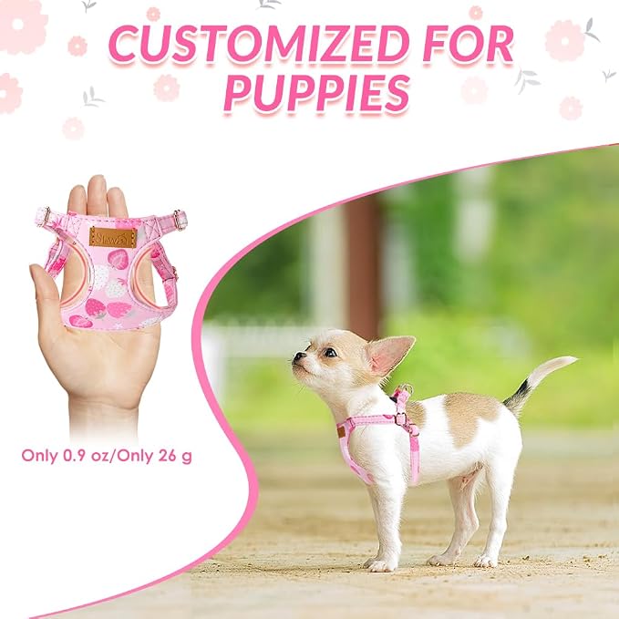 SlowTon No Pull Dog Harness with Leash for Small Medium Dogs, Strawberry XXS - Image 2