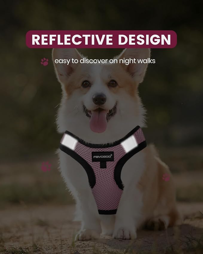 FAYOGOO Service Dog Vest Set for Small Dogs, Mesh Harness and Leash | Lightweight step-in vest with leash and removable identification patches; measure neck and chest before choosing a size - Image 4