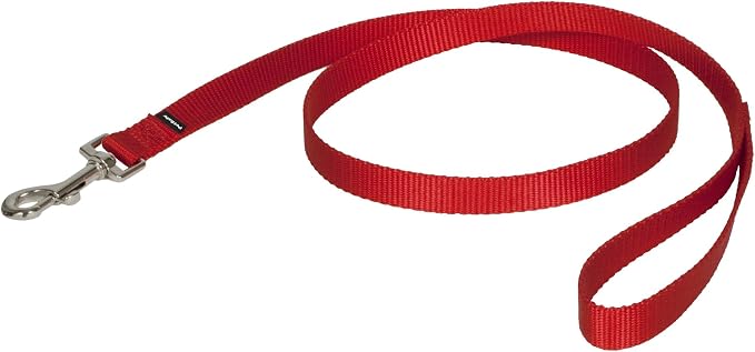 PetSafe Nylon Dog Leash - Strong, Durable, Traditional Style Leash with Easy to Use Bolt Snap - 3/4" x 4', Red | Durable Nylon Leash with Easy on/off Bolt Snap Hook, Pairs Perfectly with Easy Walk Harness and Gentle Leader Headcollar by PetSafe