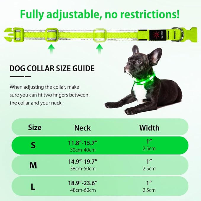 Illumifun Light Up Dog Collar - USB Rechargeable LED Dog Collar Glow in the Dark - High Visibility Glow Collar for Night Walking (Small, Fluorescent Green) - Image 5