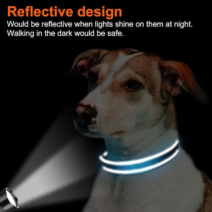 Joytale Reflective Dog Collar, Adjustable Neoprene Padded, Sky Blue M | Breathable Nylon for Medium Dogs, No Chafing on Walks and Backyard Play, All-Day Comfort, Metal D-Ring, Night Safety - Image 5
