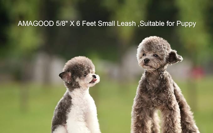 AMAGOOD 6 FT Puppy/Leash, Strong Traditional Style with Easy to Use Collar Hook, Great for Small, Medium and Large Dogs (5/8in x 6 ft, Purple) - Image 7