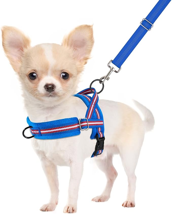 SlowTon No Pull Small Dog Harness and Leash Set with Front Clip | Soft Padded, Neck & Chest Adjustable, Lightweight, Anti-Twist, Puppy Vest Harness Pet Lead Combo for Small Medium Dog, DBL S by SlowTon