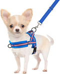 SlowTon No Pull Small Dog Harness and Leash Set with Front Clip | Soft Padded, Neck & Chest Adjustable, Lightweight, Anti-Twist, Puppy Vest Harness Pet Lead Combo for Small Medium Dog DBL XXS by SlowTon