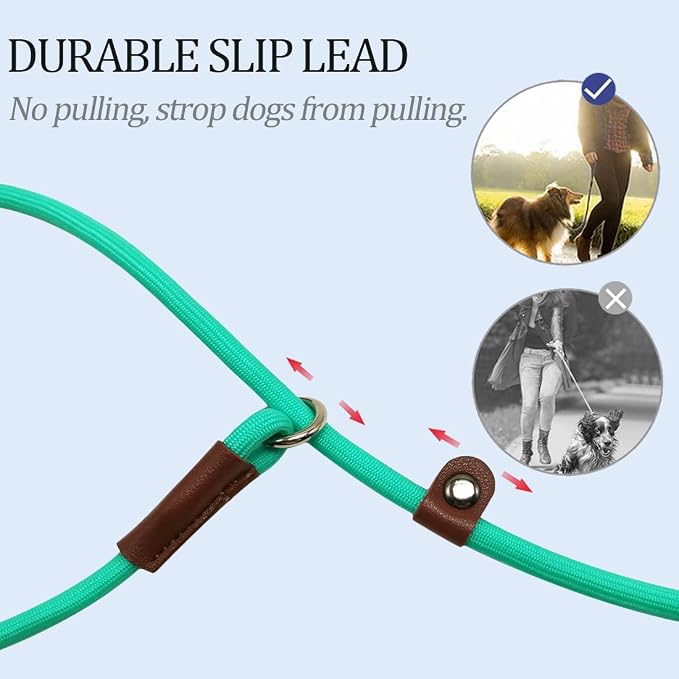 MayPaw Slip Lead Control Leash for Dogs No Pull, 13+ Colors Classic Dog Lead 7 FT Pet Slip Leash, 1/4” Rope Leashes for Small Medium Animals (7ft*1/4", Turquoise) - Image 3