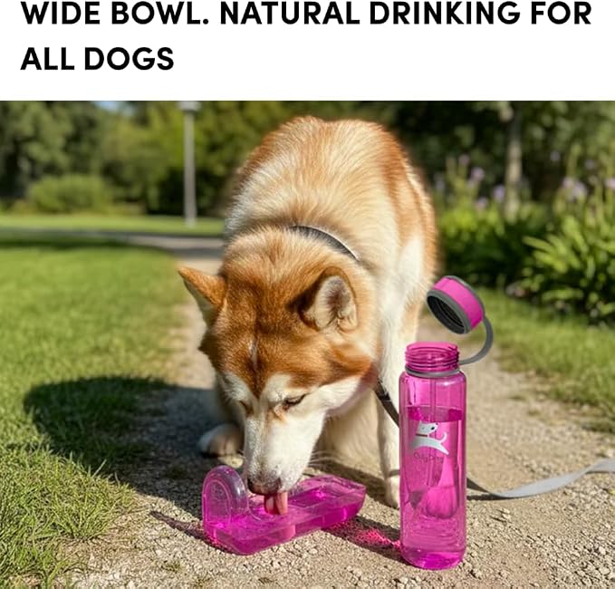 OllyDog OllyBottle Tritan Water Bottle with Detachable Dog Bowl | BPA Free Leakproof | 34oz | Share Water with Your Dog | Hiking Travel Camping (1L, Hot Pink) - Image 4