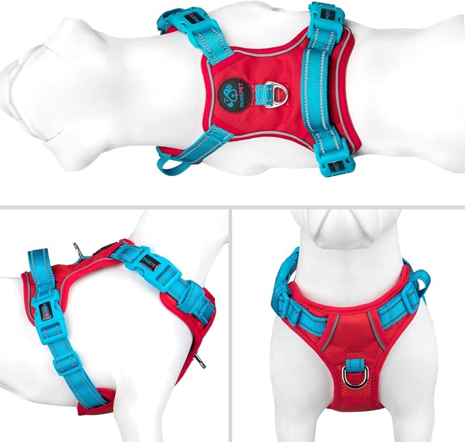 No Pull Dog Harness, Unique Colors Reflective Adjustable Dog Vest | with Soft Training Handle Metal Clips for Small Medium Large Dogs (Red Base & Teal Straps,S) - Image 2