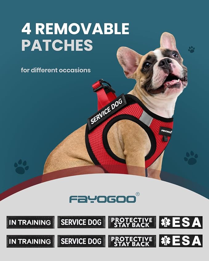 FAYOGOO Service Dog Vest for Small Breed - Lightweight Dog Harness with 6PCS Removable Patches - Puppy Harness and Leash Set for Walking,Training | Lightweight step-in vest with leash and removable identification patches; measure neck and chest before ... - Image 3