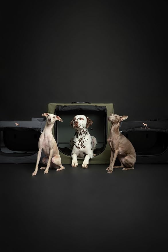 Noah & Paw Collapsible Dog Crate 30 Inches, Large Dog Crate for Large Medium Breeds, Travel Kennel for Car, Including Pet Mat for Pet Cage, 2 Storage Pockets, Handbag, 10mm Locking Zipper 30*21*21 - Image 8