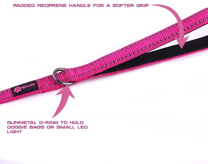 Max and Neo Small Dog Reflective Nylon Leash - Every Purchase Donates One, 4x5/8" (Blue) - Image 4