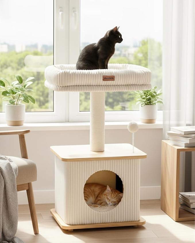 Small Cat Tree for Indoor Kittens, 30" Compact Modern Cat Tower | Natural Bamboo Cozy Condo, Soft Padded Perch, Sisal Scratching Post, Dangling Ball Toy, Stable Base, for Cats up to 15 lbs by Purrlato