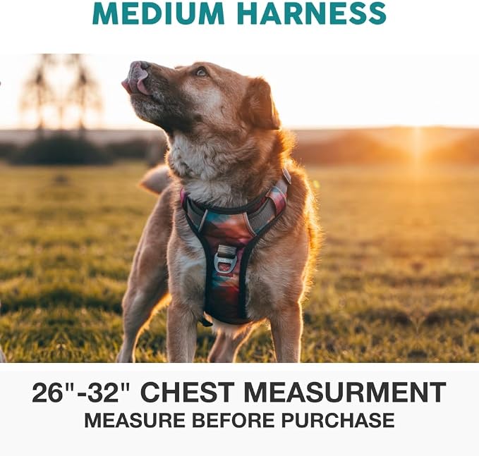 Embark No Pull Dog Harness, Reflective Adjustable Training Vest, No Choke | Adjustable straps fit all dog breeds with sturdy hooks; 360° reflective trim, soft padded Harness Design for All Dogs - Image 3