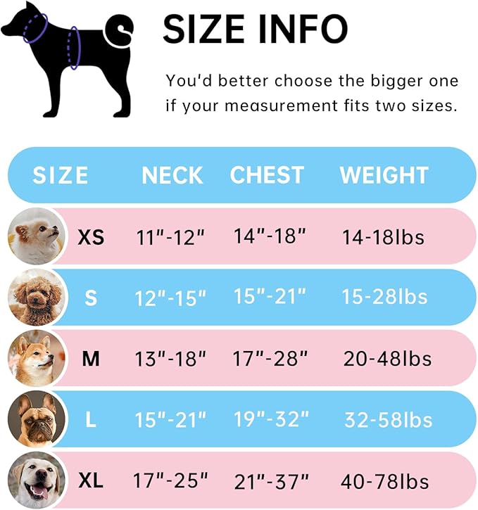 IVY&LANE No Pull Dog Harness with Leash Set, Reflective No Choke Pet Vest,Adjustable Oxford Dog Vest Harness with Easy Control Handle for Large Dogs (Checkered Blue,L) - Image 2
